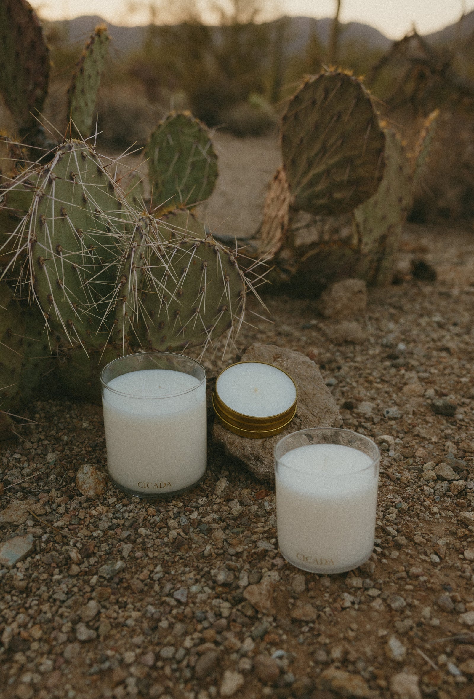 Candles on a rocky surface with cacti in the background