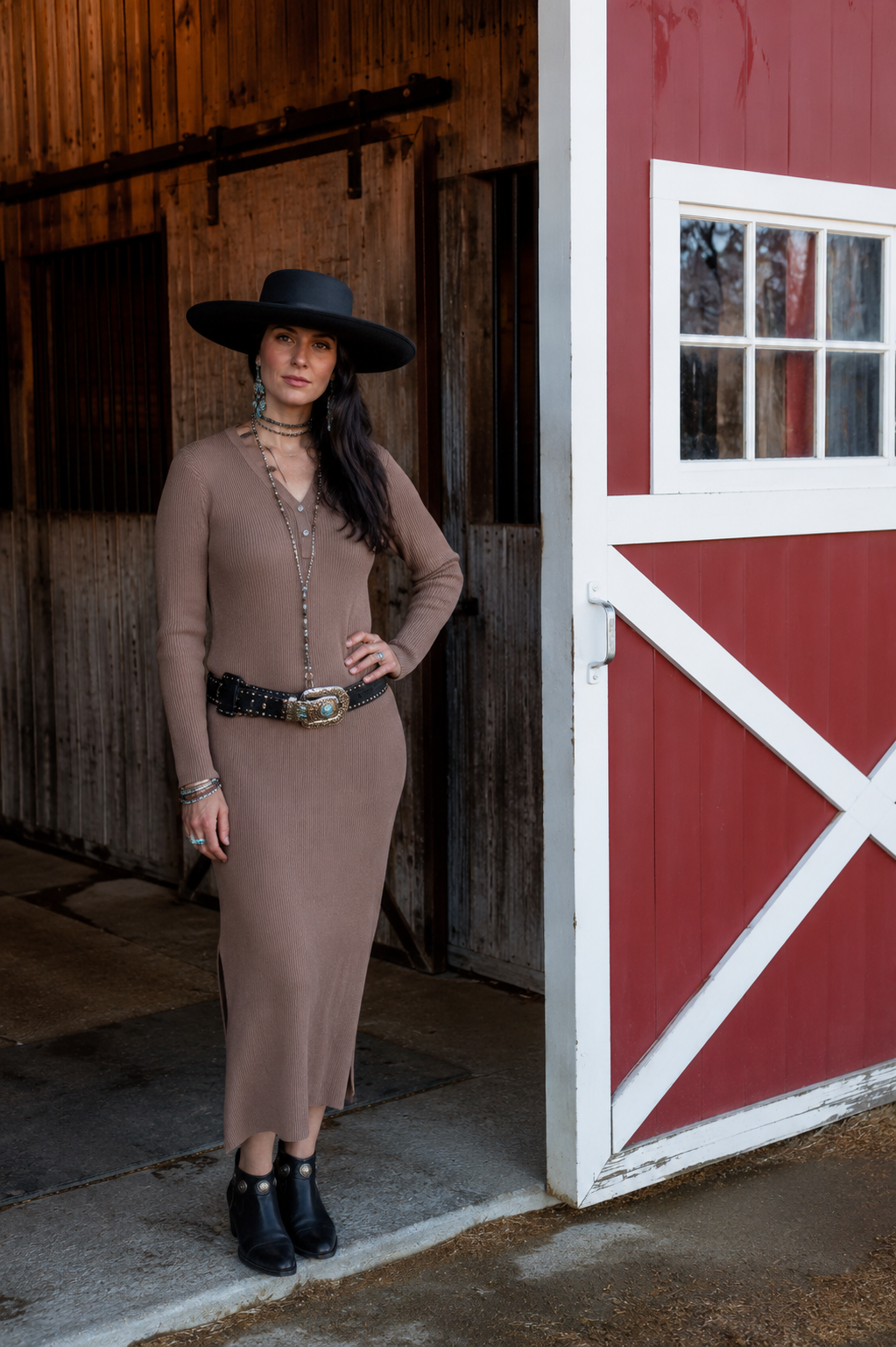 Tasha Polizzi Zyaire Dress