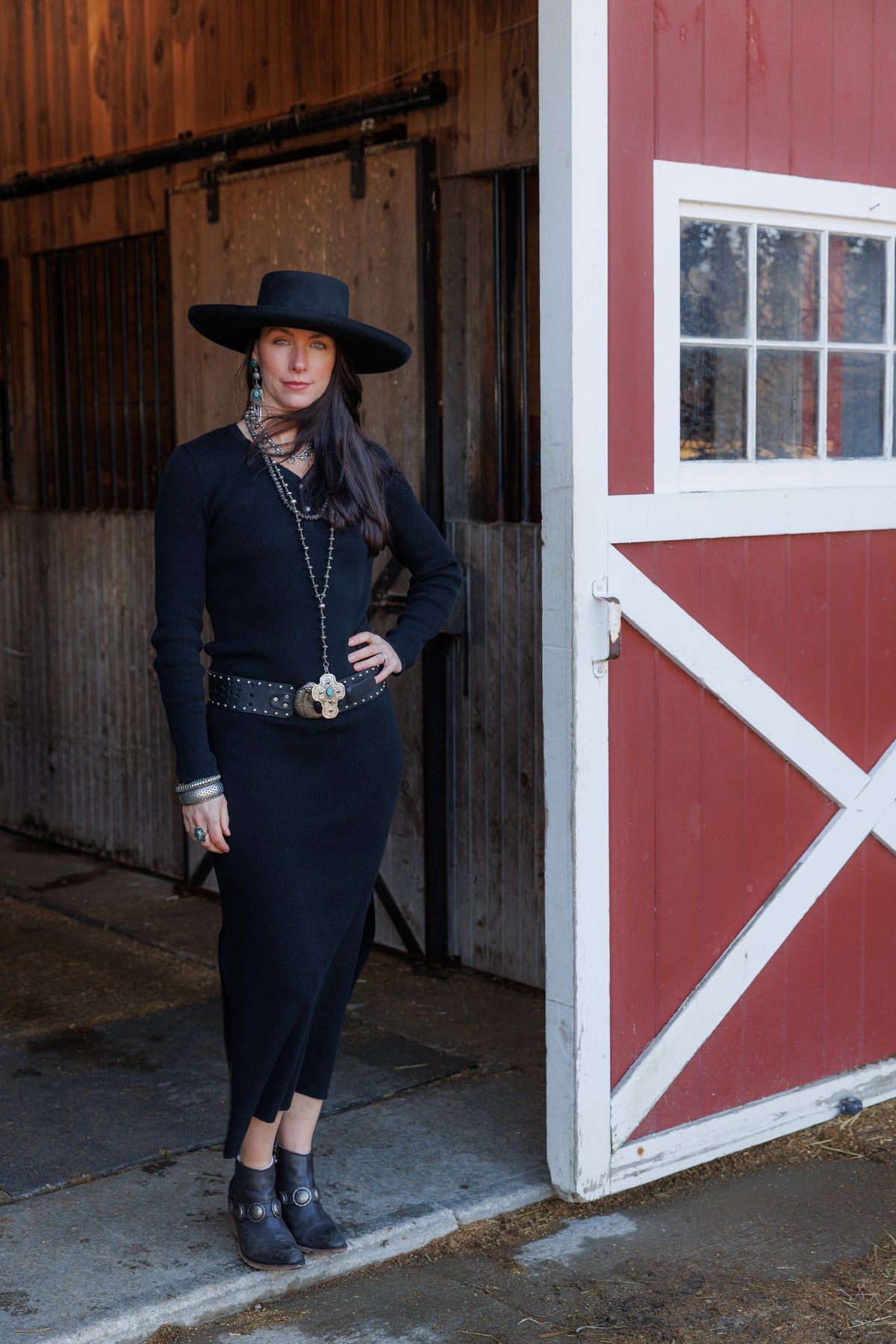 Tasha Polizzi Zyaire Dress