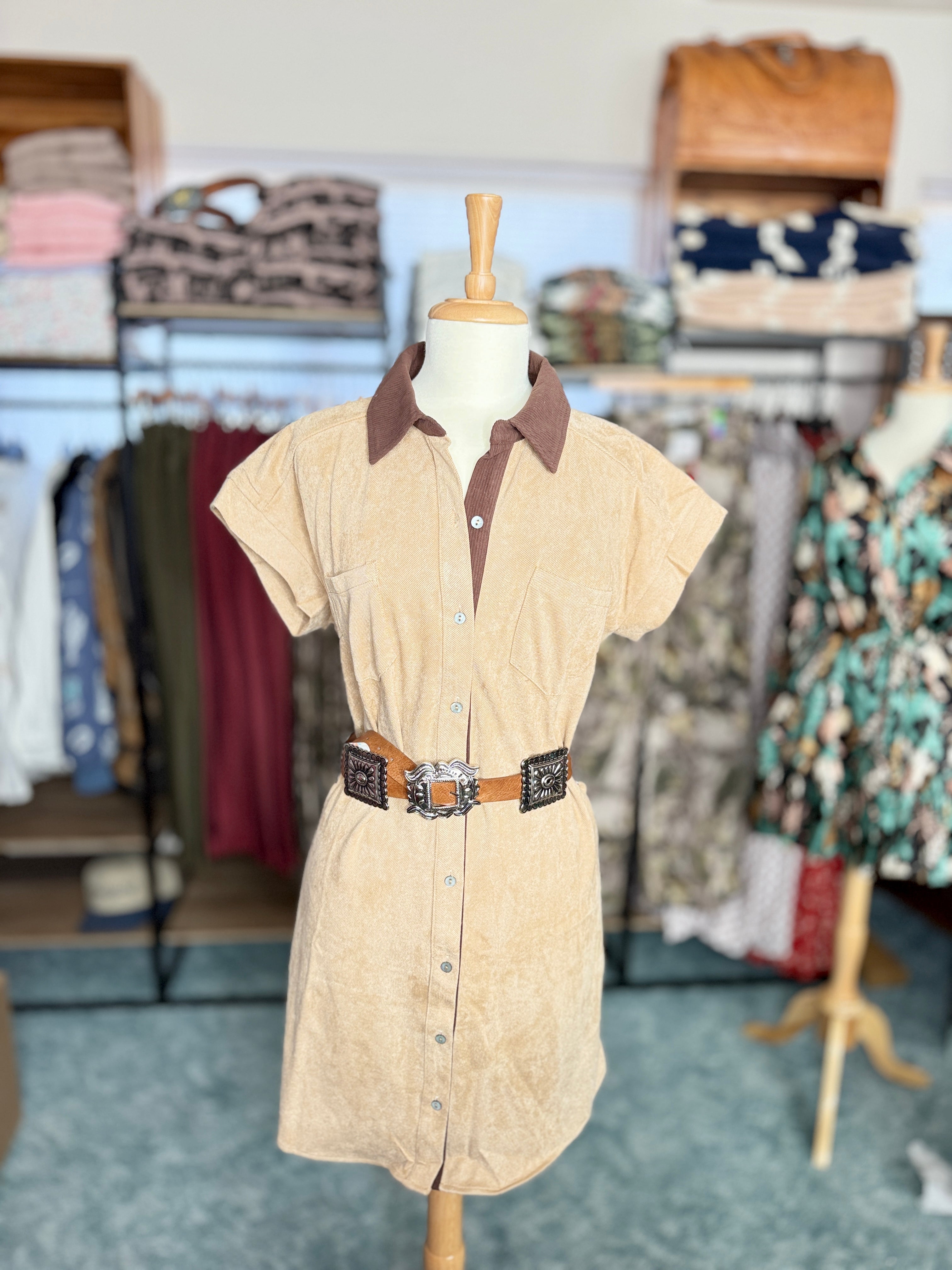 Saddleback Suede Mini Shirt Dress with Contrast Collar